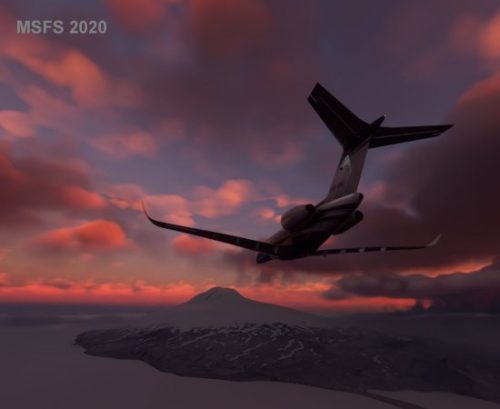 003-220123 SightseeingFlightENJA 04