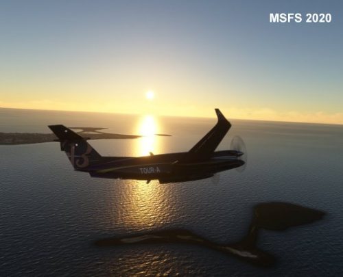 002-110323 BIRK-BIGF 03