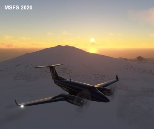 002-110323 BIRK-BIGF 06