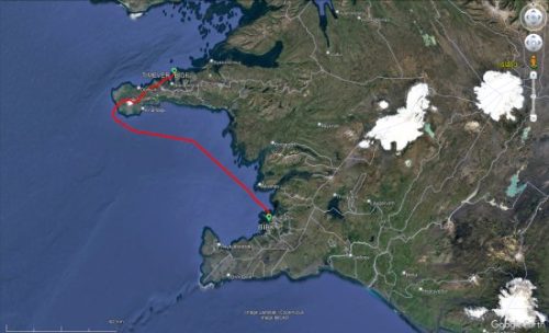 002-110323 BIRK-BIGF 10