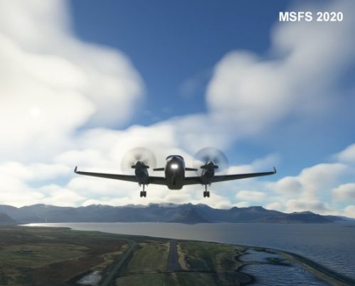 003-120323 BIGF-WhalewatchingTour1 01