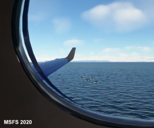 003-120323 BIGF-WhalewatchingTour1 04