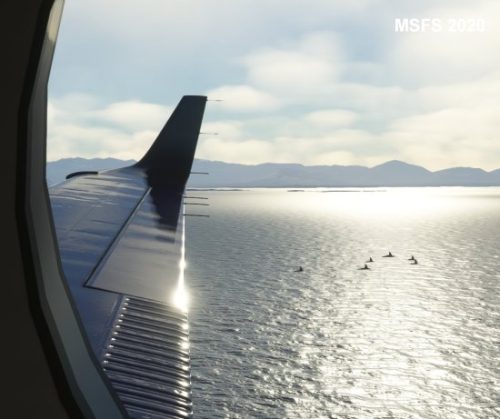 003-120323 BIGF-WhalewatchingTour1 05