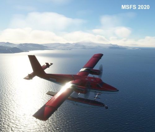 003-120323 BIGF-WhalewatchingTour2 02