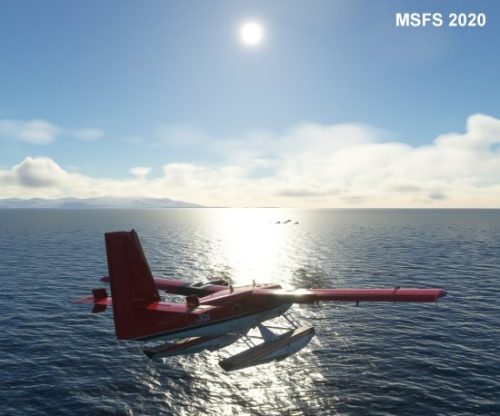 003-120323 BIGF-WhalewatchingTour2 04