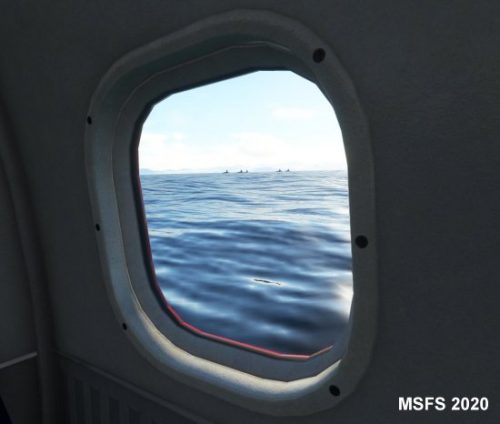 003-120323 BIGF-WhalewatchingTour2 05