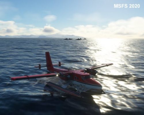 003-120323 BIGF-WhalewatchingTour2 07