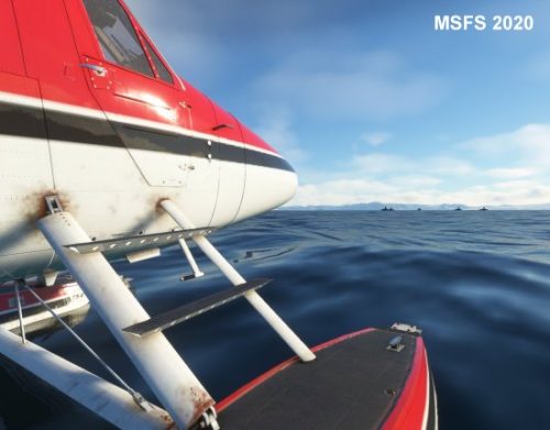 003-120323 BIGF-WhalewatchingTour2 08