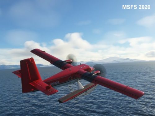 003-120323 BIGF-WhalewatchingTour2 17