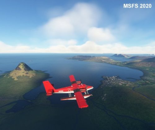 003-120323 BIGF-WhalewatchingTour2 18