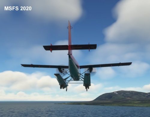 003-120323 BIGF-WhalewatchingTour2 19