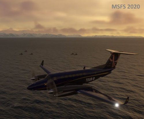 003-280323 Husavik-BIAR Whalewatching 03