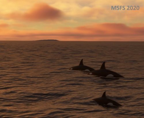 003-280323 Husavik-BIAR Whalewatching 08