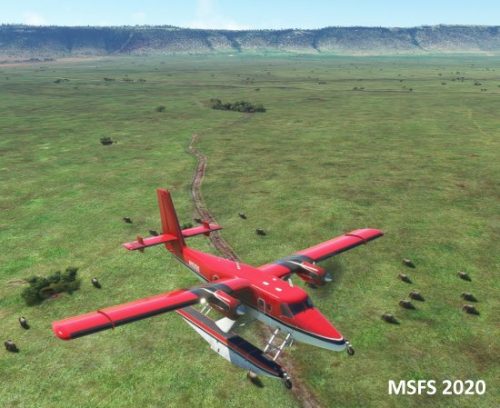 003-04052023 Safari01 HKLP-HK0A 03