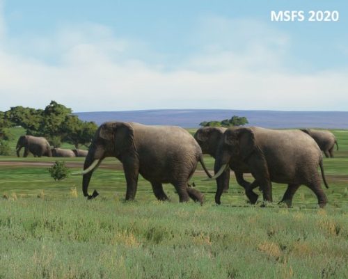 003-04052023 Safari01 HKLP-HK0A 04