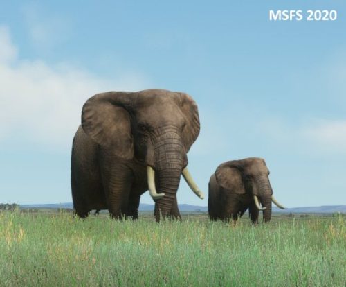 003-04052023 Safari01 HKLP-HK0A 05