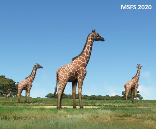 003-04052023 Safari01 HKLP-HK0A 08