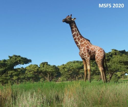 003-04052023 Safari01 HKLP-HK0A 09