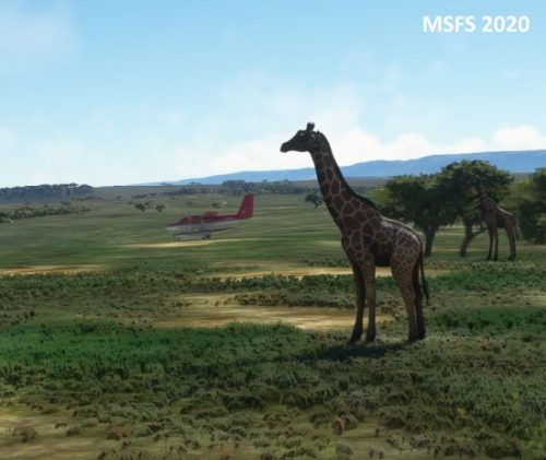 003-04052023 Safari01 HKLP-HK0A 10