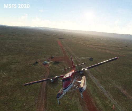 004-04052023 Safari02 HK0A-HTMZ 02