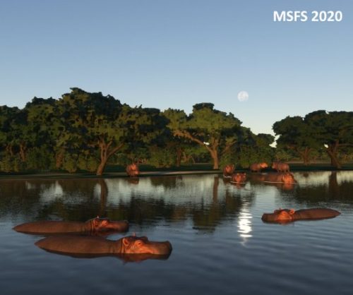 004-04052023 Safari02 HK0A-HTMZ 04