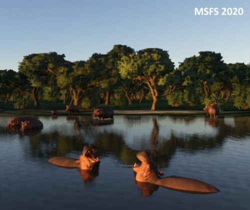 004-04052023 Safari02 HK0A-HTMZ 05