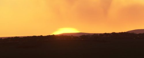 004-04052023 Safari02 HK0A-HTMZ 07