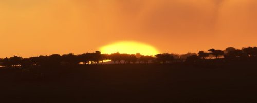 004-04052023 Safari02 HK0A-HTMZ 08