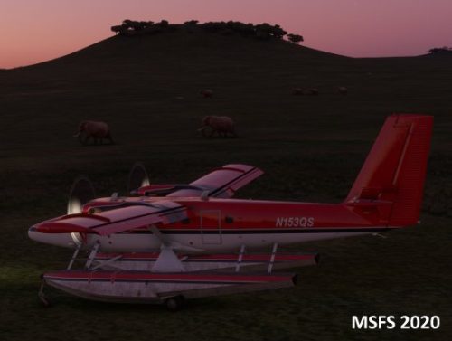 004-04052023 Safari02 HK0A-HTMZ 10