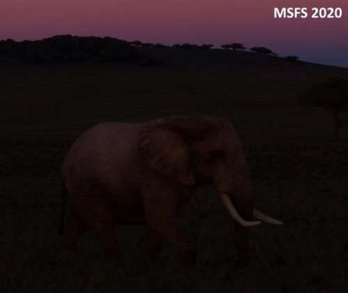 004-04052023 Safari02 HK0A-HTMZ 11