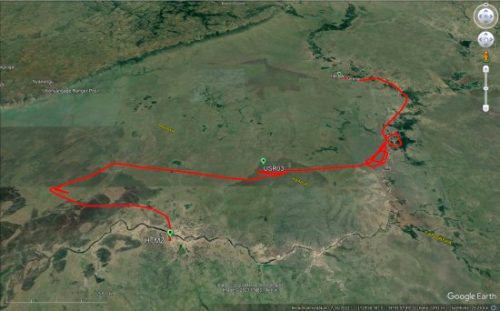 004-04052023 Safari02 HK0A-HTMZ 14