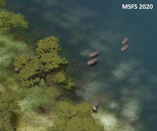 006-05052023 Safari03 HTMZ-HTOU 03