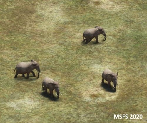 006-05052023 Safari03 HTMZ-HTOU 07