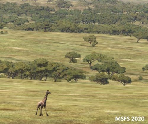 006-05052023 Safari03 HTMZ-HTOU 10