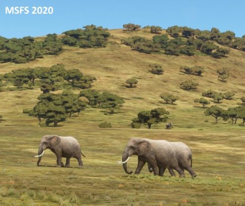 006-05052023 Safari03 HTMZ-HTOU 12