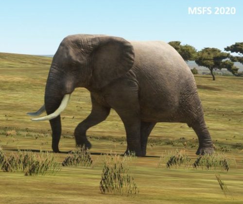 006-05052023 Safari03 HTMZ-HTOU 13