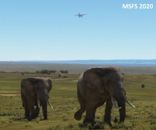 006-05052023 Safari03 HTMZ-HTOU 14