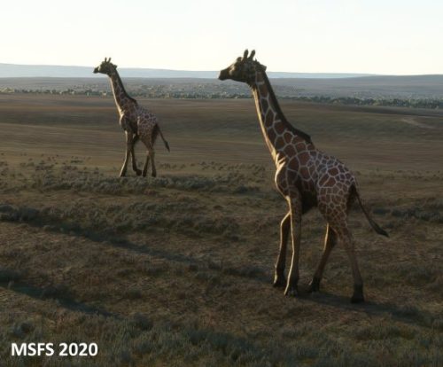 007-06052023 Safari04 HTOU-HKLQ 06