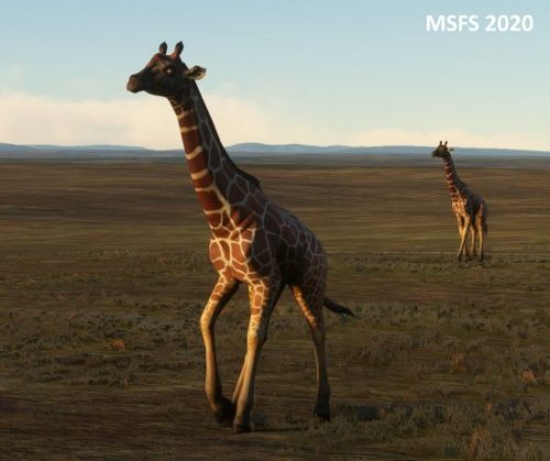 007-06052023 Safari04 HTOU-HKLQ 07