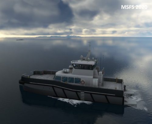 003-18062023 BISI-Whalewatching-BlueWhales 02