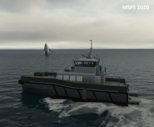 003-18062023 BISI-Whalewatching-BlueWhales 07