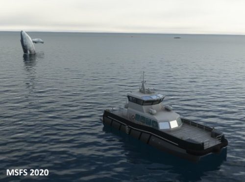 003-18062023 BISI-Whalewatching-BlueWhales 12