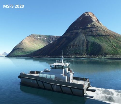 003-07072023 BIIS-Whalewatching-BlueWhales 08