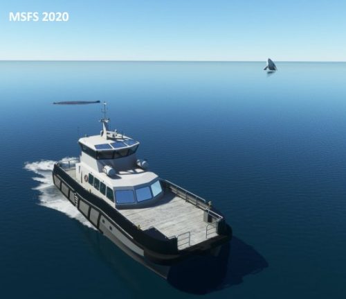 003-07072023 BIIS-Whalewatching-BlueWhales 11