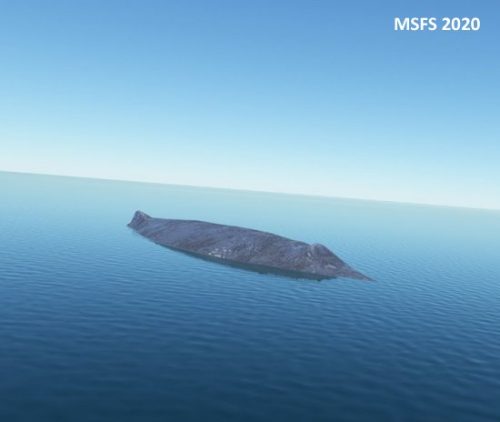 003-07072023 BIIS-Whalewatching-BlueWhales 13