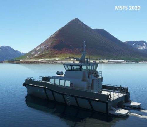 003-07072023 BIIS-Whalewatching-BlueWhales 20