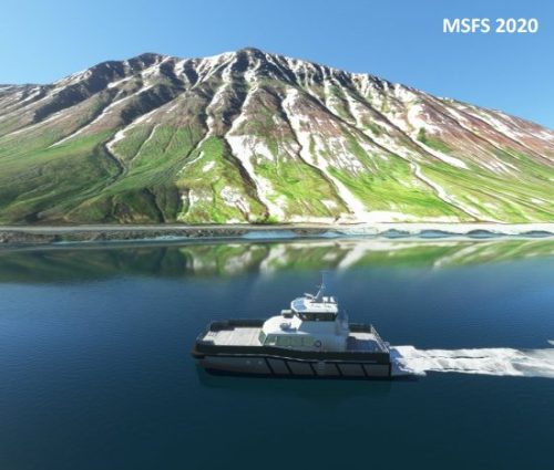 003-07072023 BIIS-Whalewatching-BlueWhales 21