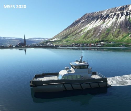 003-07072023 BIIS-Whalewatching-BlueWhales 22