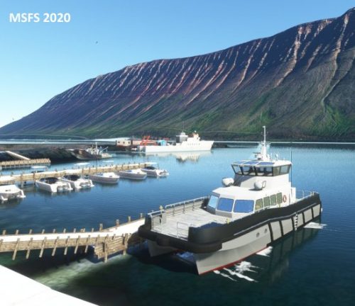 003-07072023 BIIS-Whalewatching-BlueWhales 23