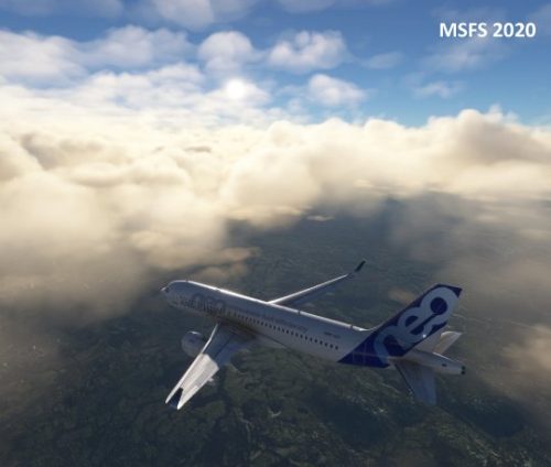 005-21102023 CCP6-CYMX 03